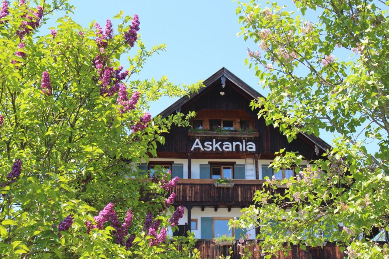Hotel Askania 1927 บาดวิสเซ ภายนอก รูปภาพ